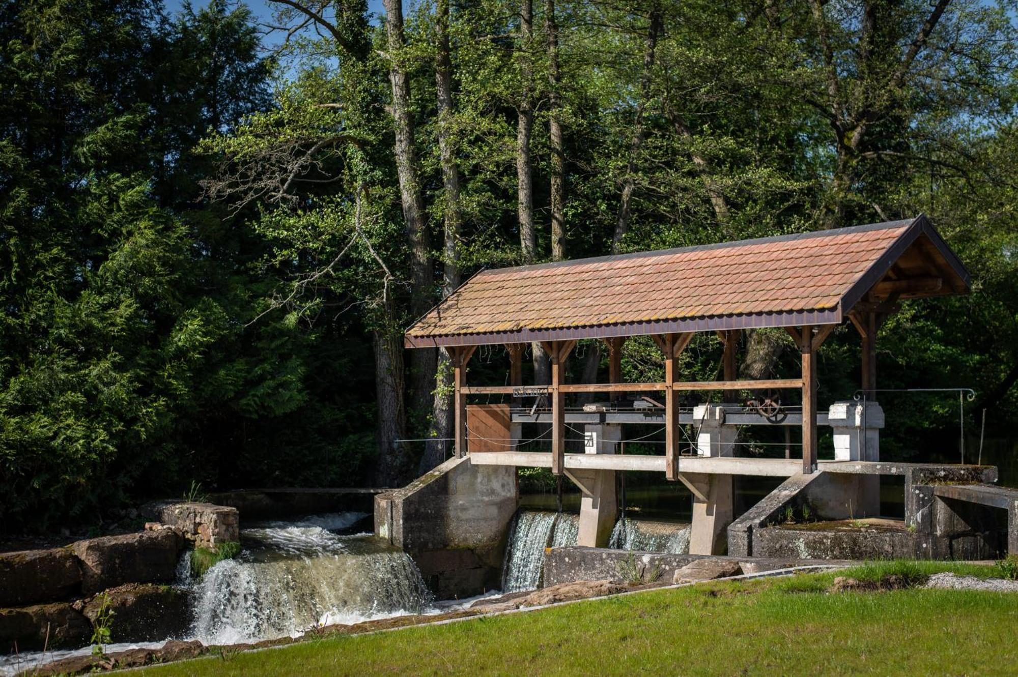 Les Gites De La Karlsmuhle Haguenau Extérieur photo