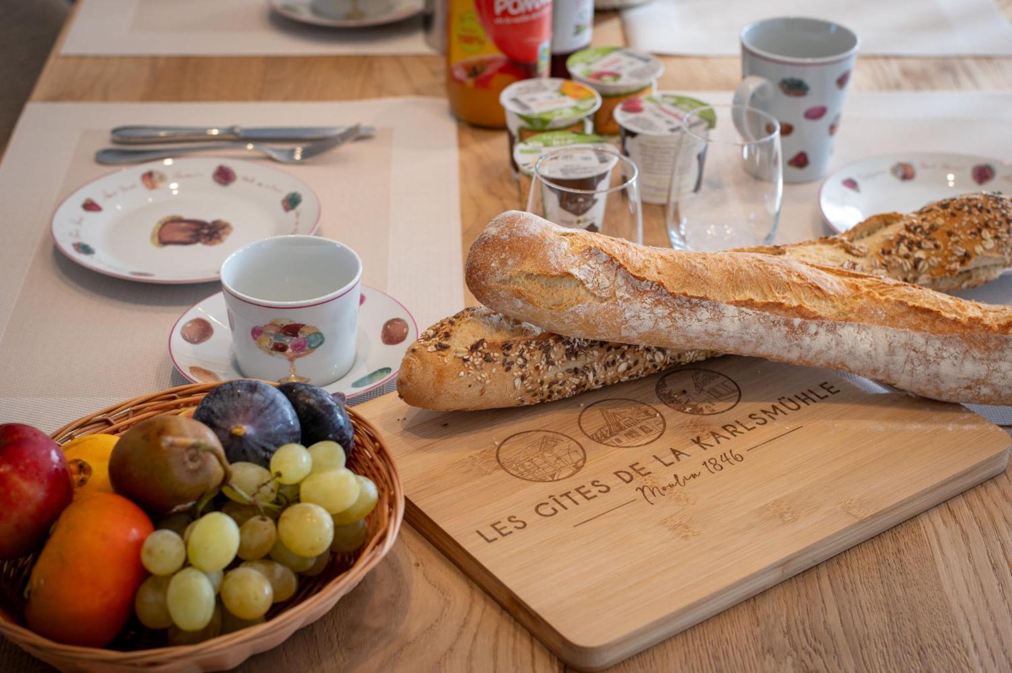Les Gites De La Karlsmuhle Haguenau Extérieur photo